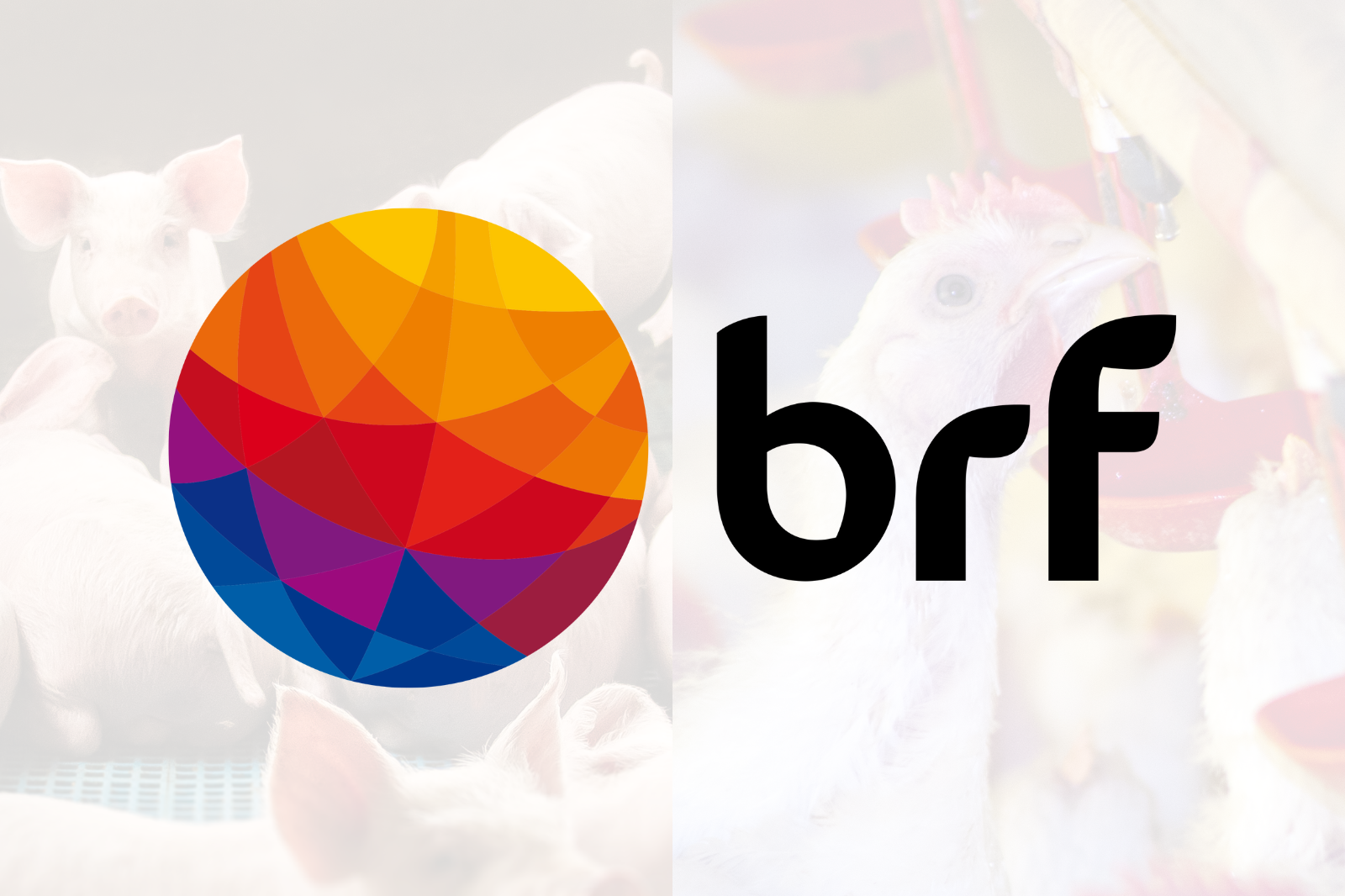 BRF certifica 100% de suas unidades de abate em bem-estar animal no Brasil