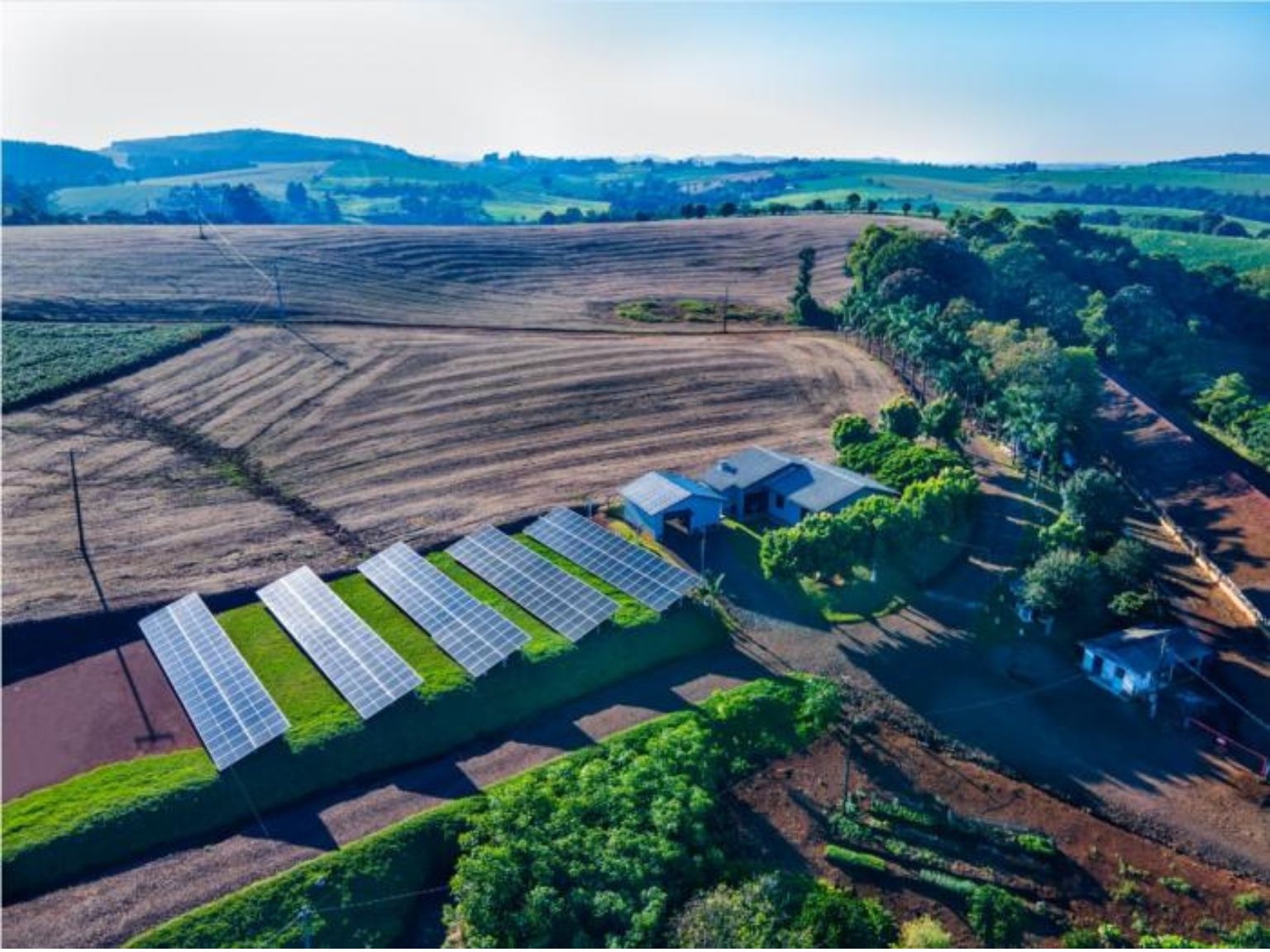 57% do volume de aves da BRF já é produzido com energia limpa