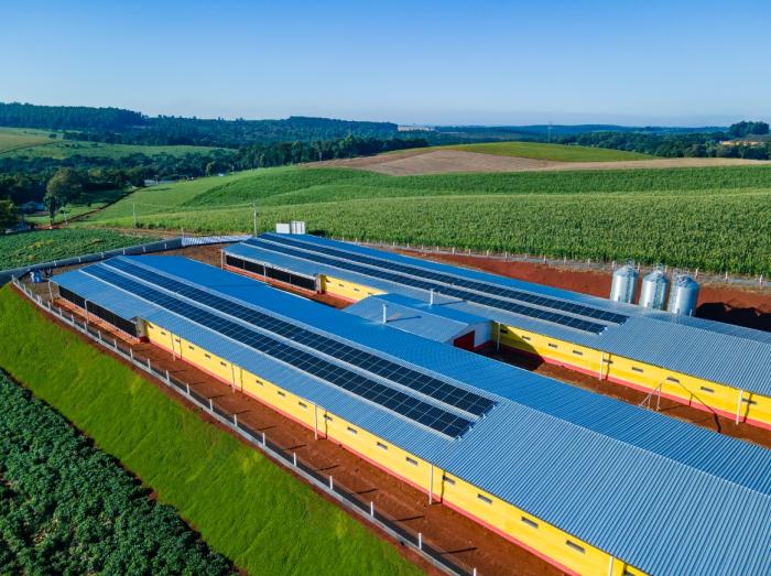 Marfrig and BRF Earn Gold Seal for Transparency in Greenhouse Gas Emissions Management
