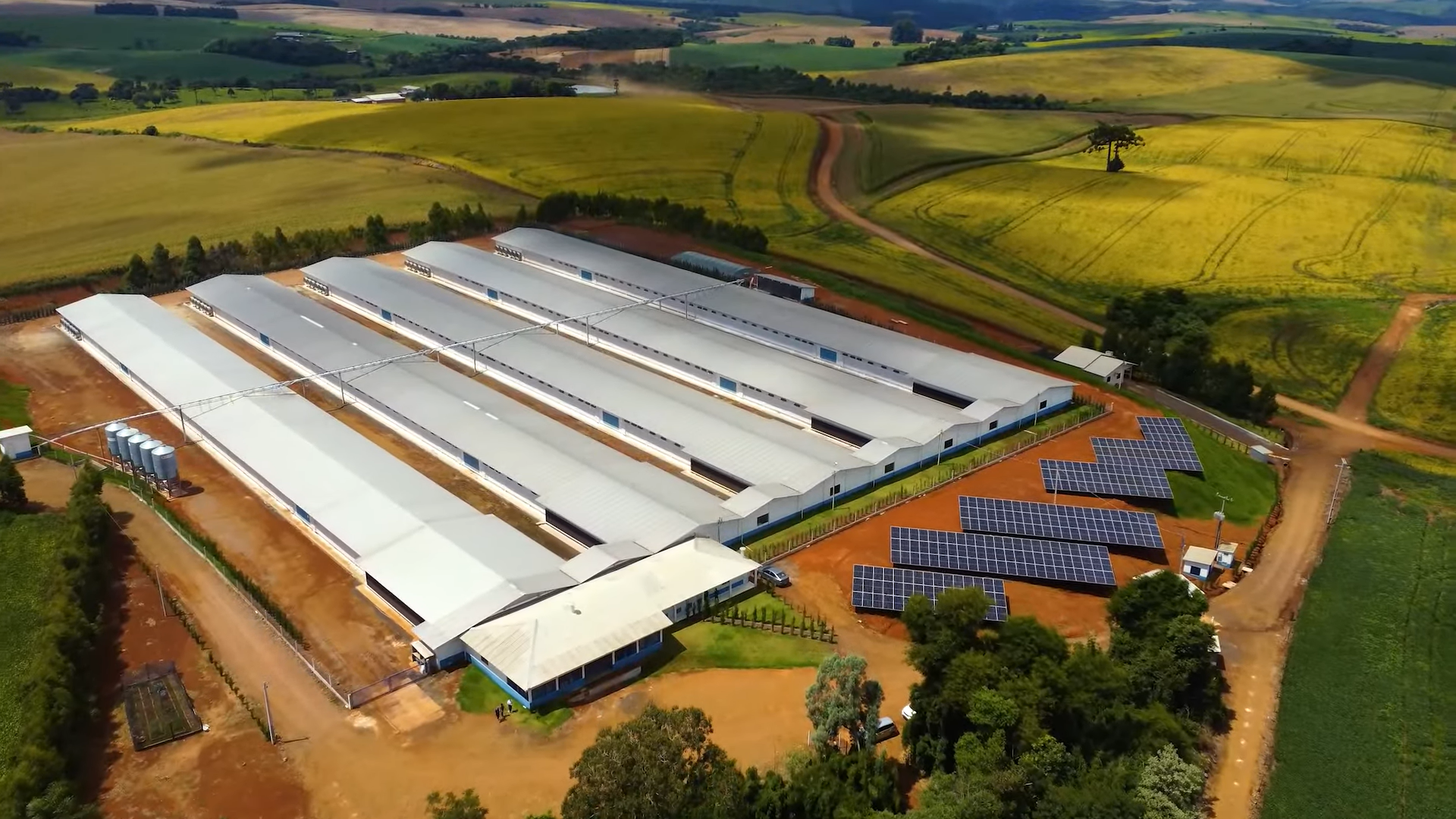 75% of Seara’s integrated farms already use clean energy