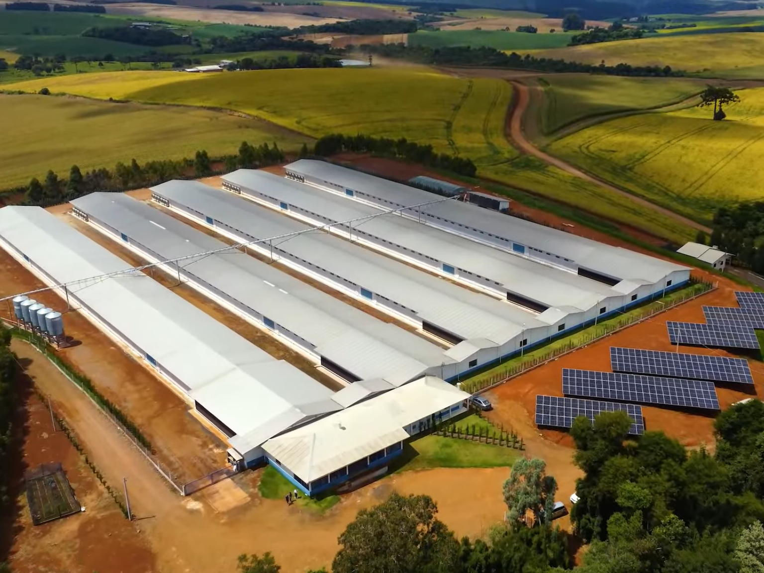 75% das granjas integradas à Seara já utilizam energia limpa